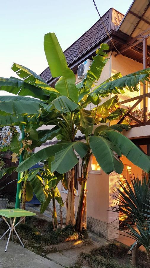 Samida Hotel New Athos Exterior photo