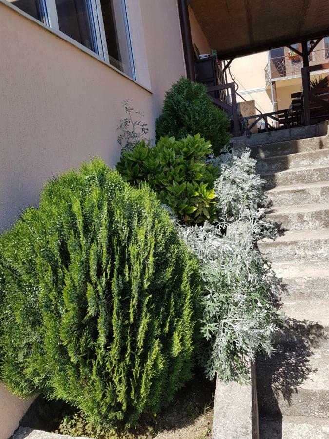 Samida Hotel New Athos Exterior photo